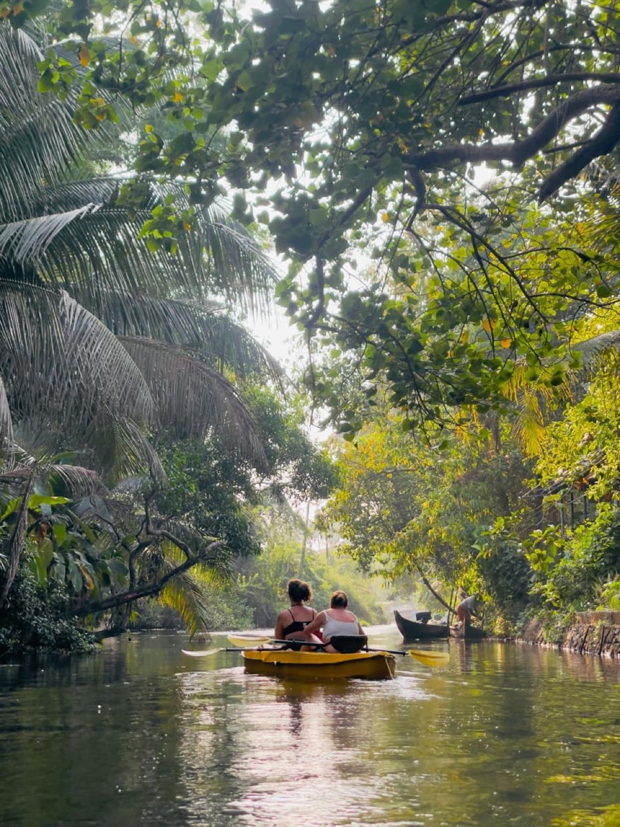 Kerala backwater boating service in Alleppey